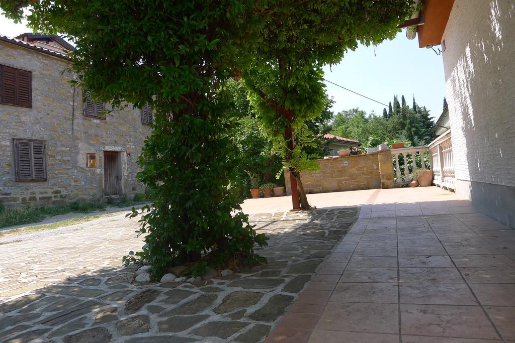 Rosemary * Lucija